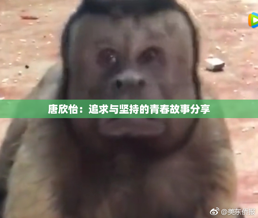 唐欣怡：追求与坚持的青春故事分享