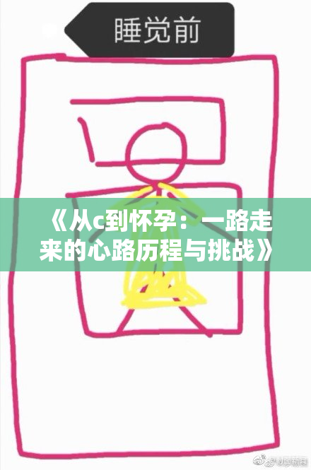 《从c到怀孕：一路走来的心路历程与挑战》