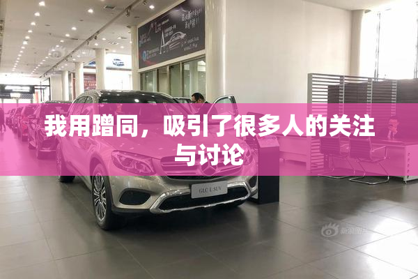 我用蹭同，吸引了很多人的关注与讨论