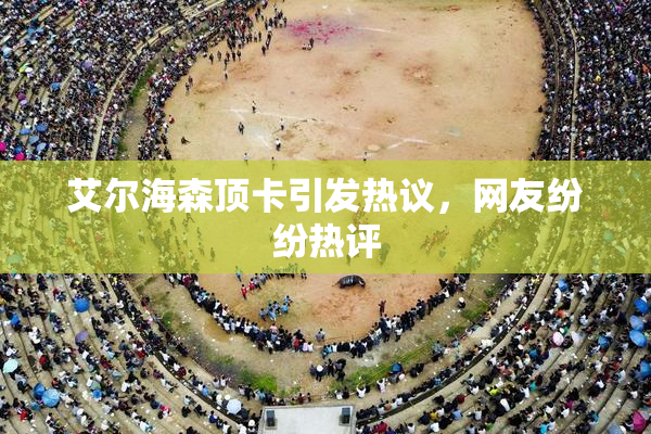 艾尔海森顶卡引发热议，网友纷纷热评