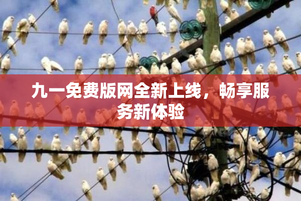 九一免费版网全新上线，畅享服务新体验