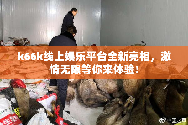 k66k线上娱乐平台全新亮相，激情无限等你来体验！