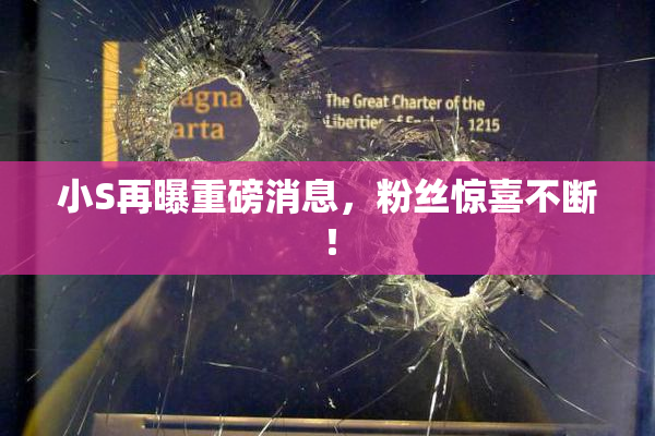 小S再曝重磅消息，粉丝惊喜不断！