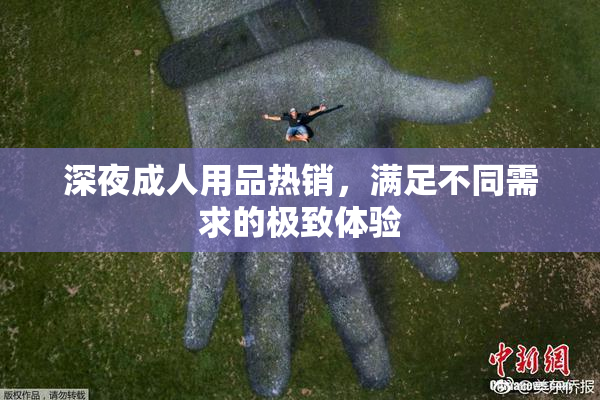 深夜成人用品热销，满足不同需求的极致体验