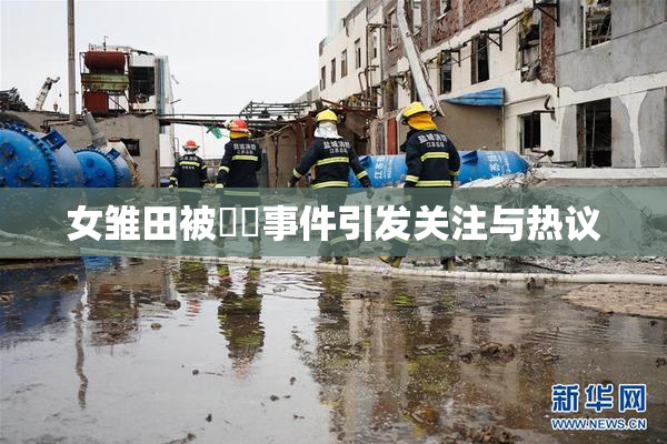 女雏田被❌‌事件引发关注与热议