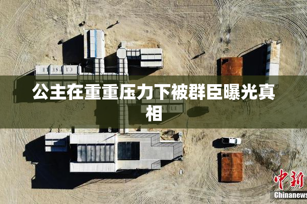 公主在重重压力下被群臣曝光真相