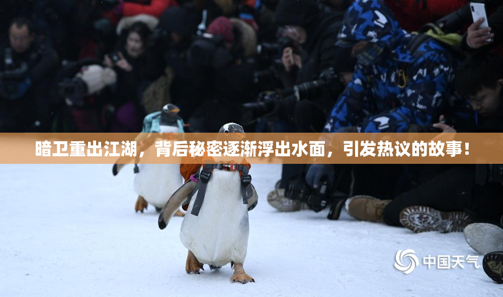 暗卫重出江湖，背后秘密逐渐浮出水面，引发热议的故事！