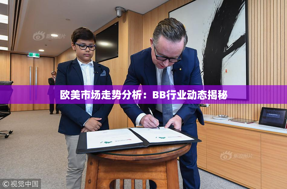 欧美市场走势分析：BB行业动态揭秘