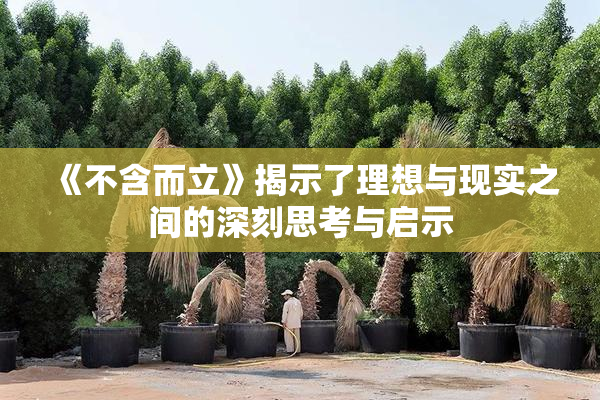 《不含而立》揭示了理想与现实之间的深刻思考与启示