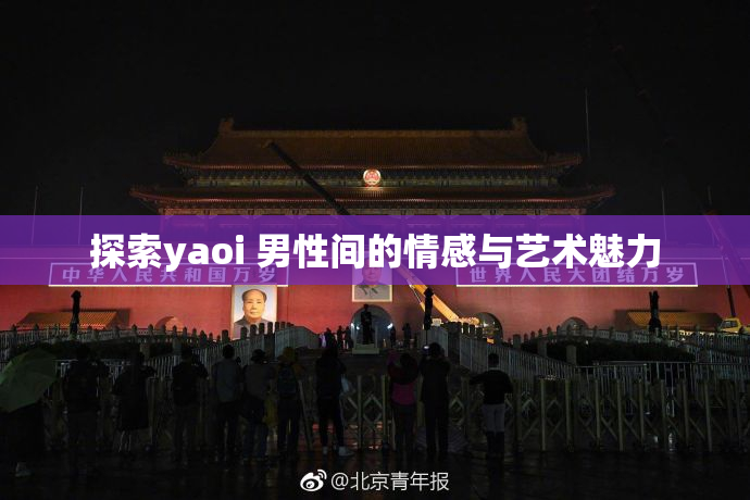 探索yaoi 男性间的情感与艺术魅力