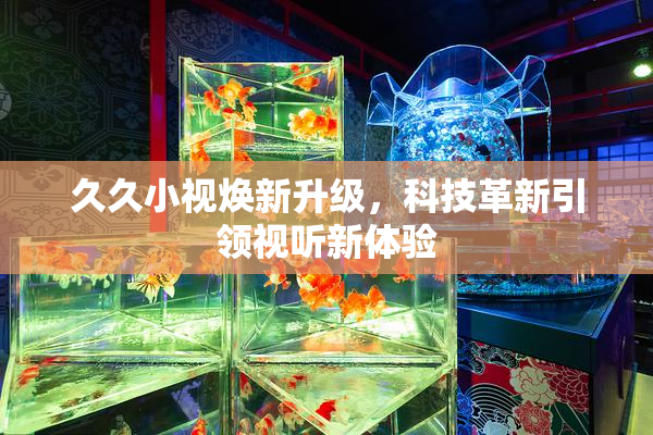 久久小视焕新升级，科技革新引领视听新体验