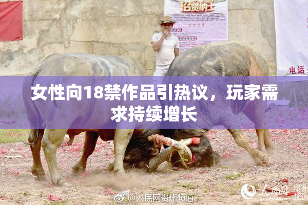 女性向18禁作品引热议，玩家需求持续增长