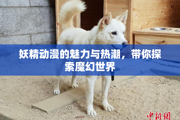 妖精动漫的魅力与热潮，带你探索魔幻世界