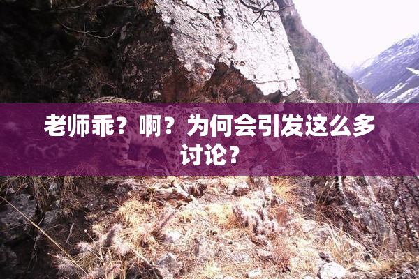 老师乖？啊？为何会引发这么多讨论？