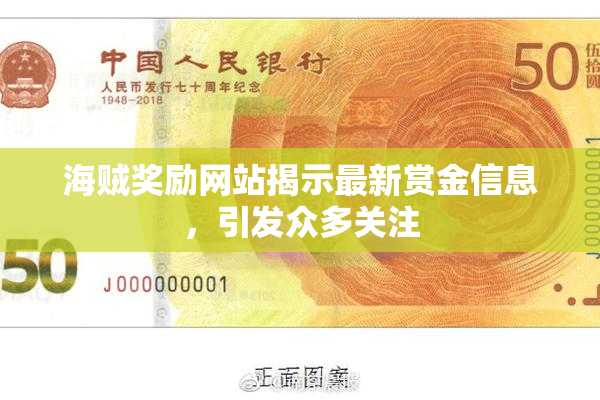 海贼奖励网站揭示最新赏金信息，引发众多关注