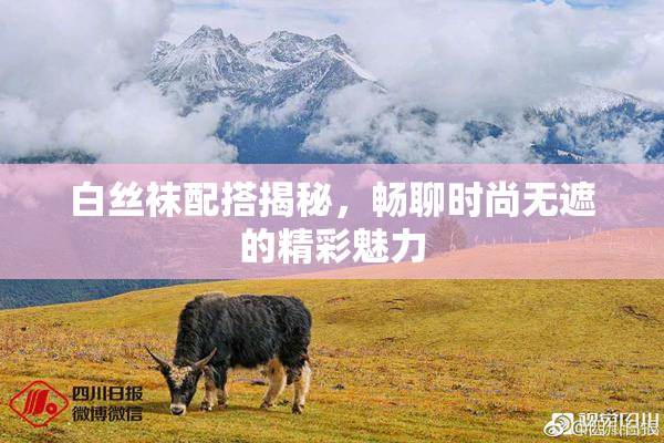 白丝袜配搭揭秘，畅聊时尚无遮的精彩魅力