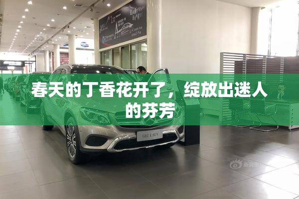 春天的丁香花开了，绽放出迷人的芬芳