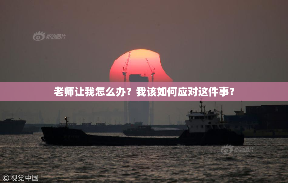 老师让我怎么办？我该如何应对这件事？