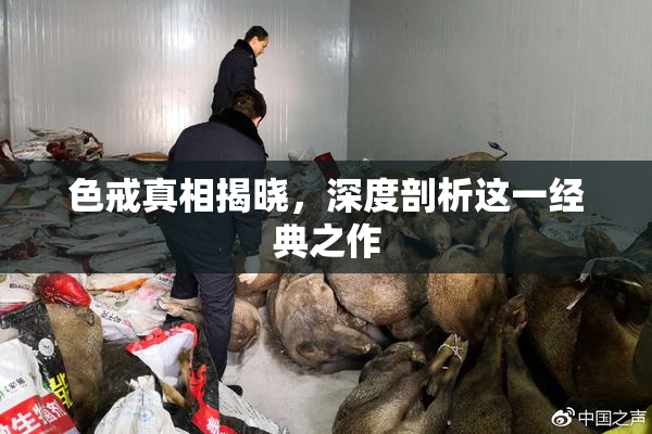 色戒真相揭晓，深度剖析这一经典之作