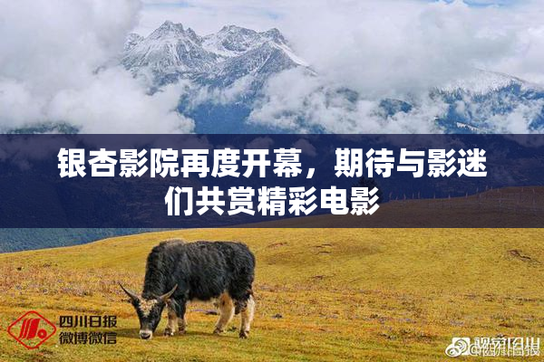 银杏影院再度开幕，期待与影迷们共赏精彩电影