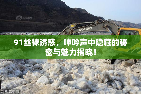 91丝袜诱惑，呻吟声中隐藏的秘密与魅力揭晓！