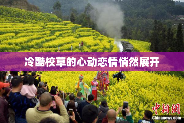 冷酷校草的心动恋情悄然展开