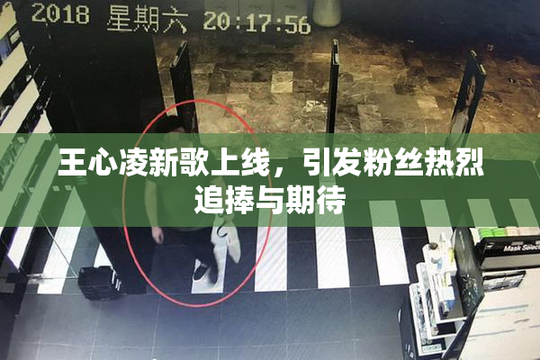 王心凌新歌上线，引发粉丝热烈追捧与期待