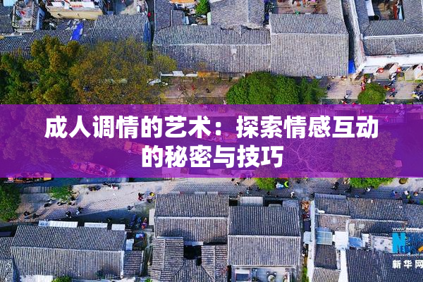 成人调情的艺术：探索情感互动的秘密与技巧