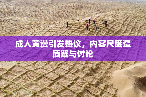 成人黄漫引发热议，内容尺度遭质疑与讨论
