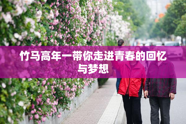 竹马高年一带你走进青春的回忆与梦想