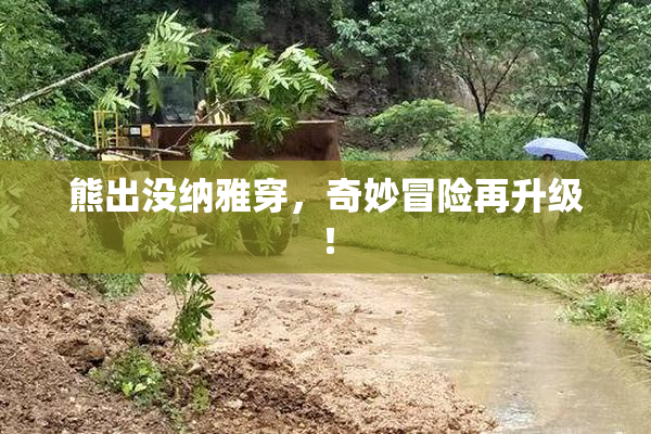 熊出没纳雅穿，奇妙冒险再升级！