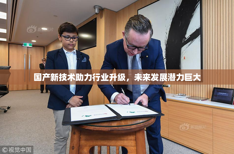 国产新技术助力行业升级，未来发展潜力巨大