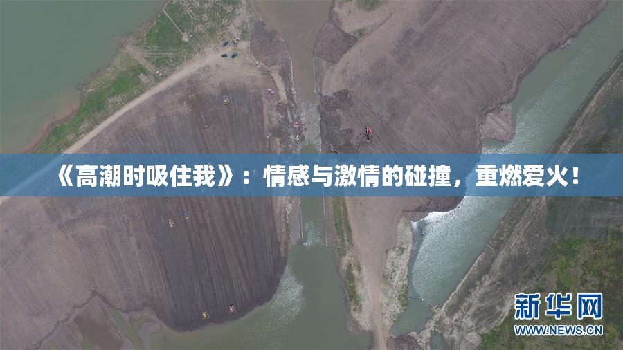 《高潮时吸住我》：情感与激情的碰撞，重燃爱火！