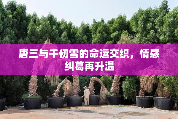 唐三与千仞雪的命运交织，情感纠葛再升温