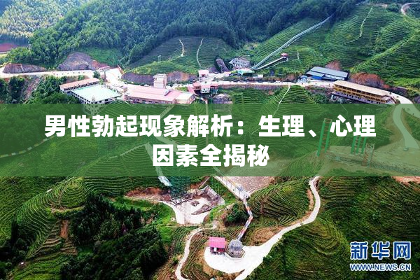 男性勃起现象解析：生理、心理因素全揭秘
