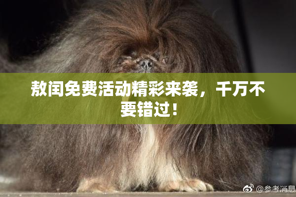 敖闰免费活动精彩来袭，千万不要错过！