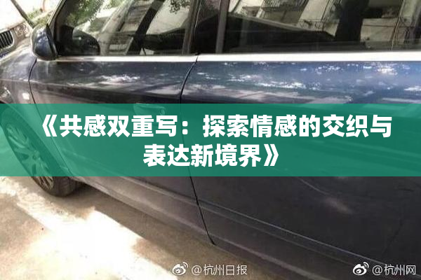 《共感双重写：探索情感的交织与表达新境界》