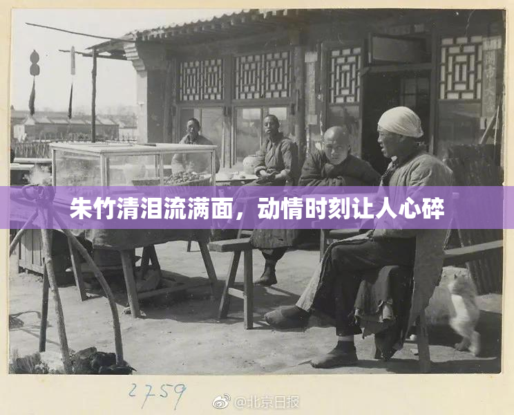 朱竹清泪流满面，动情时刻让人心碎