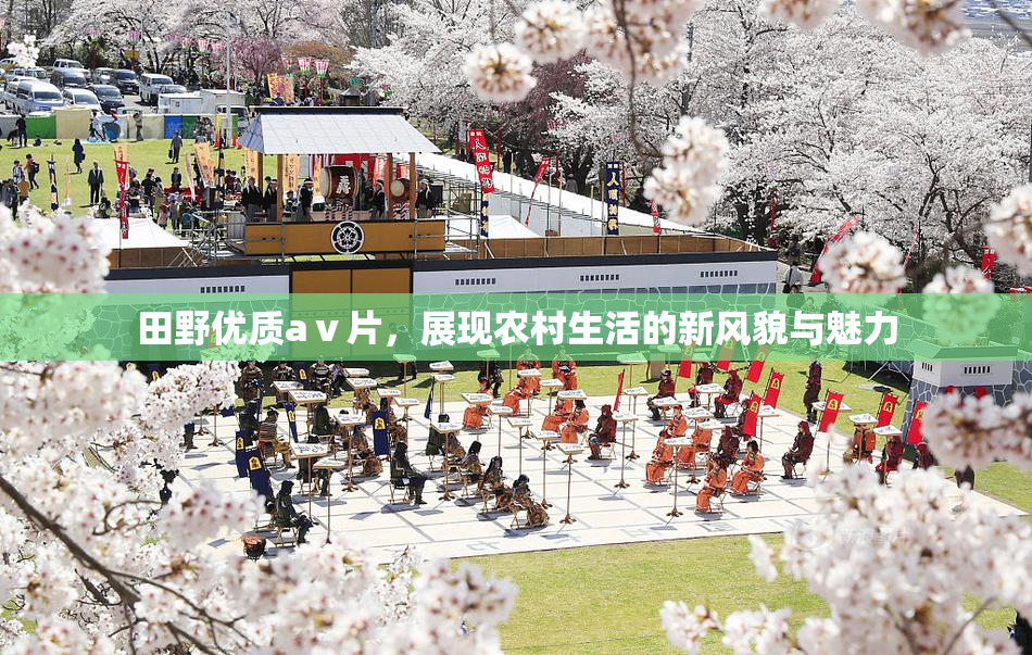 田野优质aⅴ片，展现农村生活的新风貌与魅力
