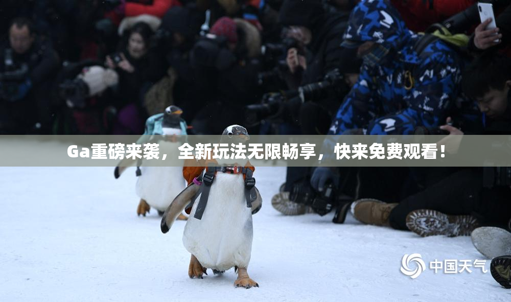 Ga重磅来袭，全新玩法无限畅享，快来免费观看！