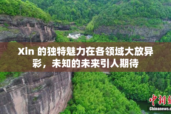 Xin 的独特魅力在各领域大放异彩，未知的未来引人期待