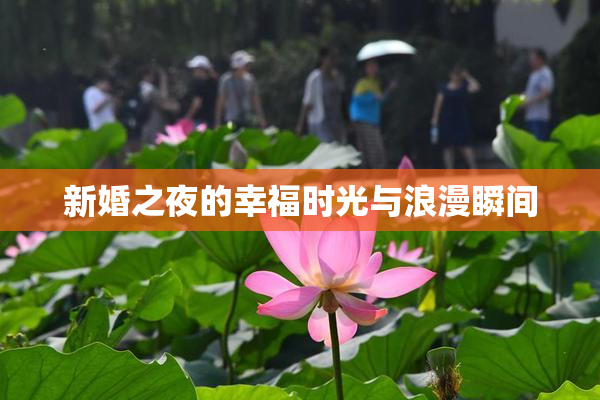 新婚之夜的幸福时光与浪漫瞬间