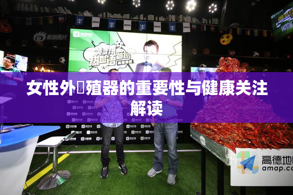女性外夝殖器的重要性与健康关注解读