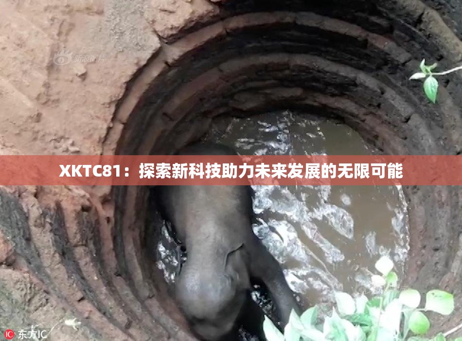 XKTC81：探索新科技助力未来发展的无限可能