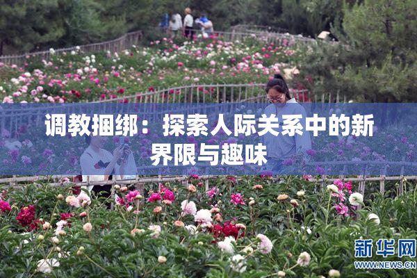 调教捆绑：探索人际关系中的新界限与趣味