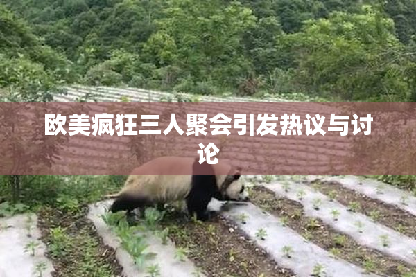 欧美疯狂三人聚会引发热议与讨论