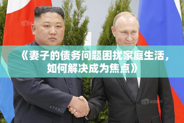 《妻子的债务问题困扰家庭生活，如何解决成为焦点》
