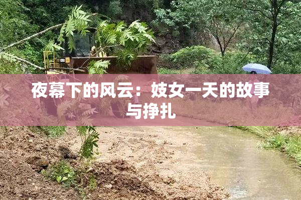 夜幕下的风云：妓女一天的故事与挣扎