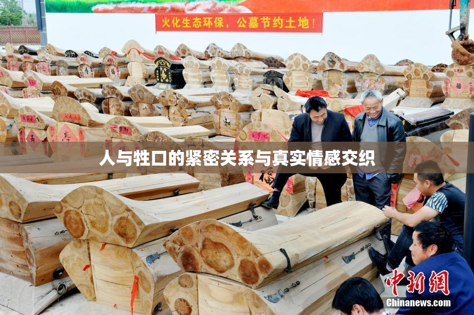 人与牲口的紧密关系与真实情感交织