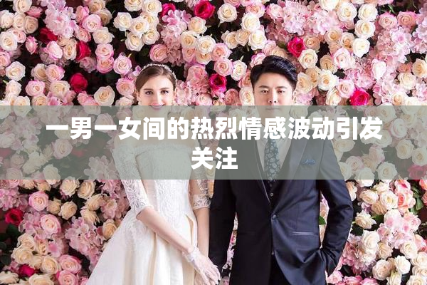 一男一女间的热烈情感波动引发关注